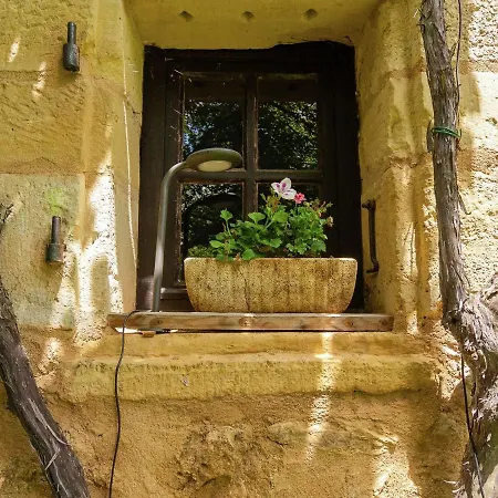 Large With Private Garden *